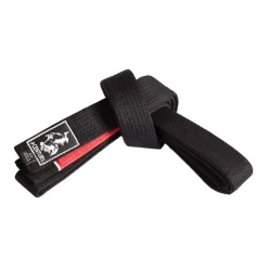 Adult Brazilian Jiu-Jitsu Belt