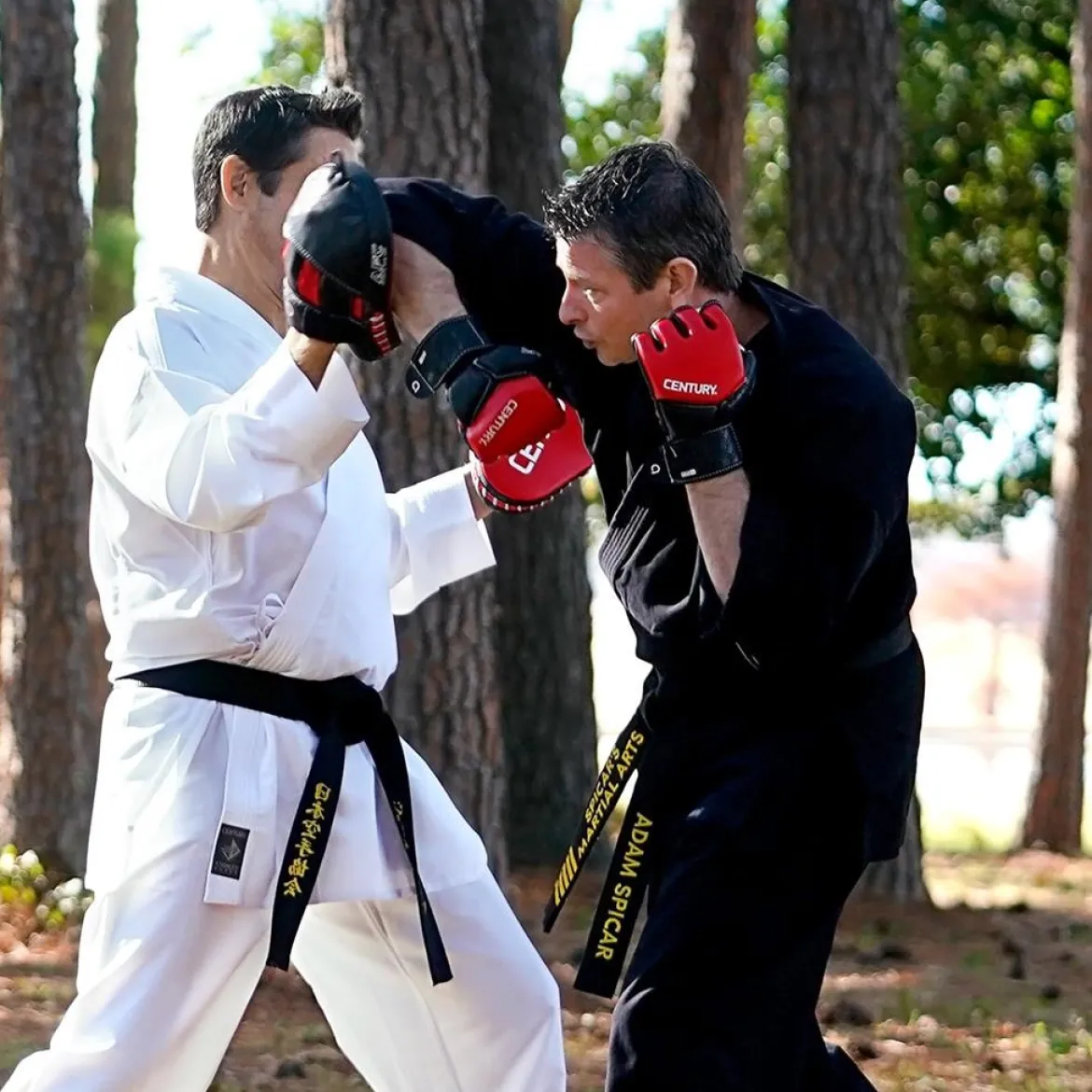 Brave MMA Competition Glove