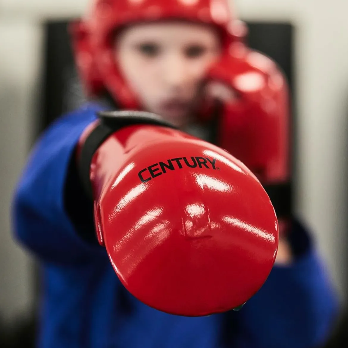 Century Punches