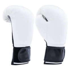 Century Solid Boxing Glove