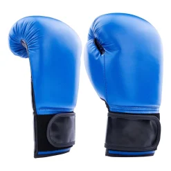 Century Solid Boxing Glove