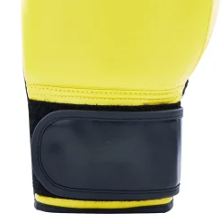 Century Solid Boxing Glove