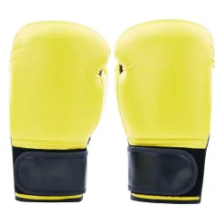 Century Solid Boxing Glove