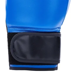 Century Solid Boxing Glove