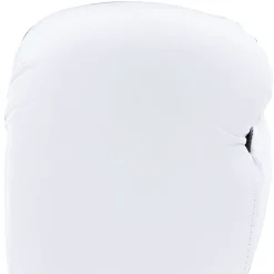 Century Solid Boxing Glove