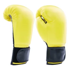 Century Solid Boxing Glove