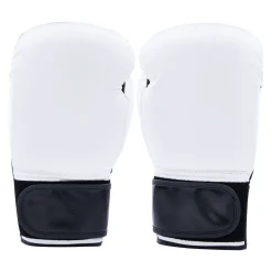 Century Solid Boxing Glove