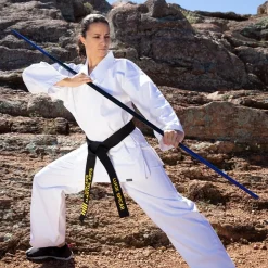 Collapsible Graphite Bo Staff