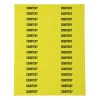 Courtesy Belt Stripe