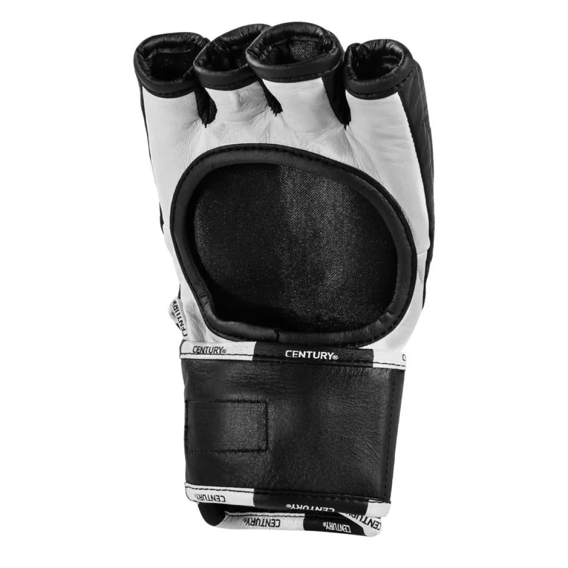 Creed Fight Gloves