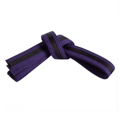 Double Wrap Black Striped Belt
