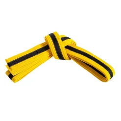 Double Wrap Black Striped Belt