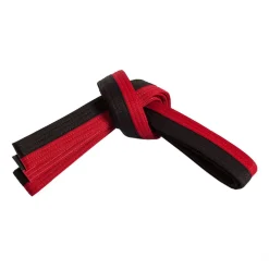 Double Wrap Two Tone Belt