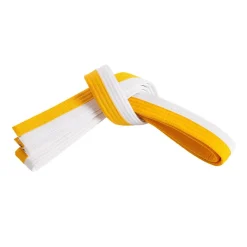 Double Wrap Two Tone Belt
