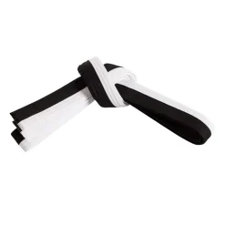 Double Wrap Two Tone Belt