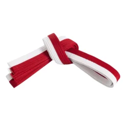 Double Wrap Two Tone Belt