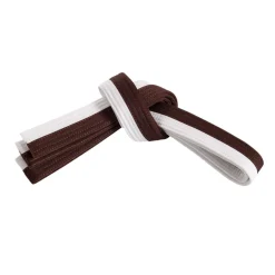 Double Wrap Two Tone Belt