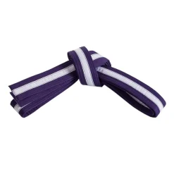 Double Wrap White Striped Belt