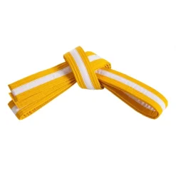 Double Wrap White Striped Belt
