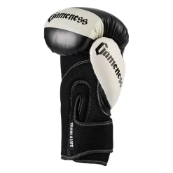 Gameness Boxing Glove