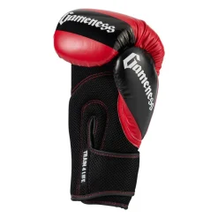 Gameness Boxing Glove