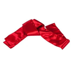 Kung Fu Sash