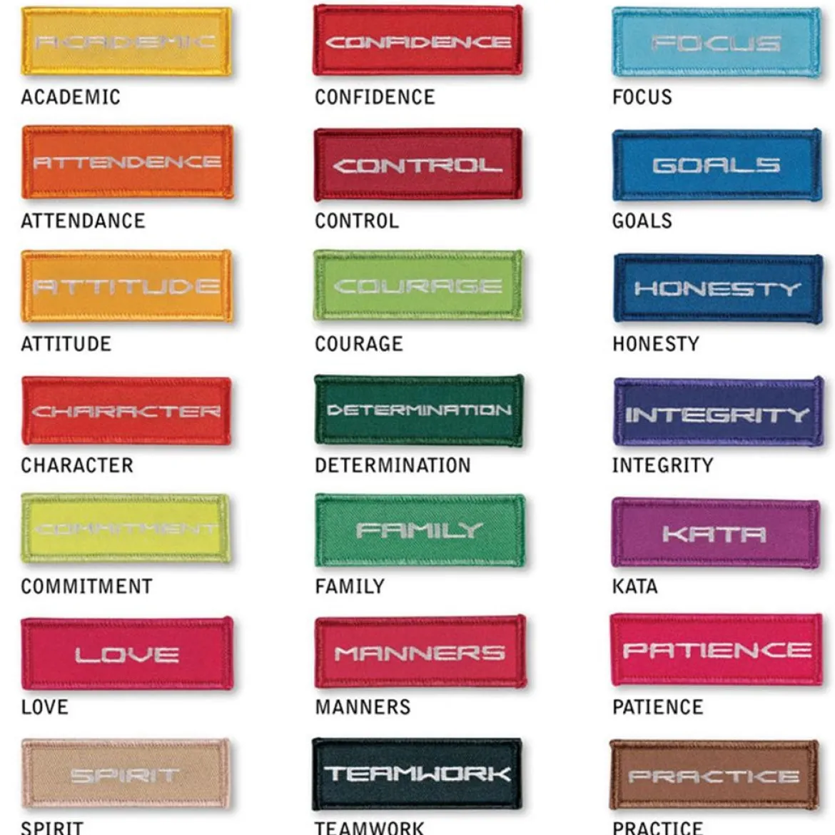 Life Skill Patch - Academic