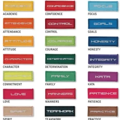Life Skill Patch - Academic