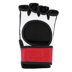 Modus Fight Gloves