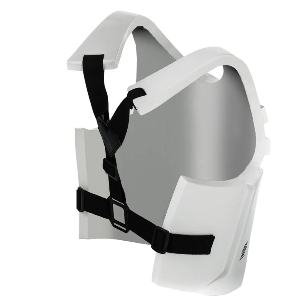 P2 Chest Guard