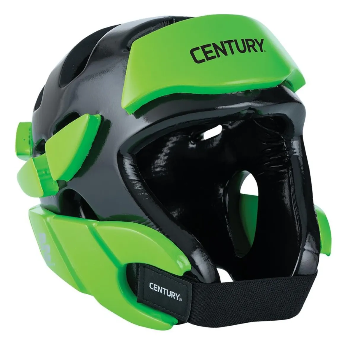 P2 Multicolor Headgear