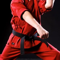 Single Wrap Solid Belt