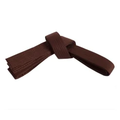 Single Wrap Solid Belt