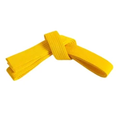 Single Wrap Solid Belt