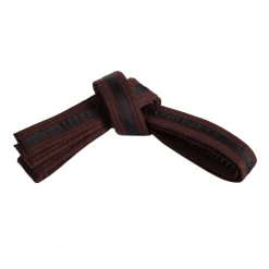Single Wrap Striped Belt