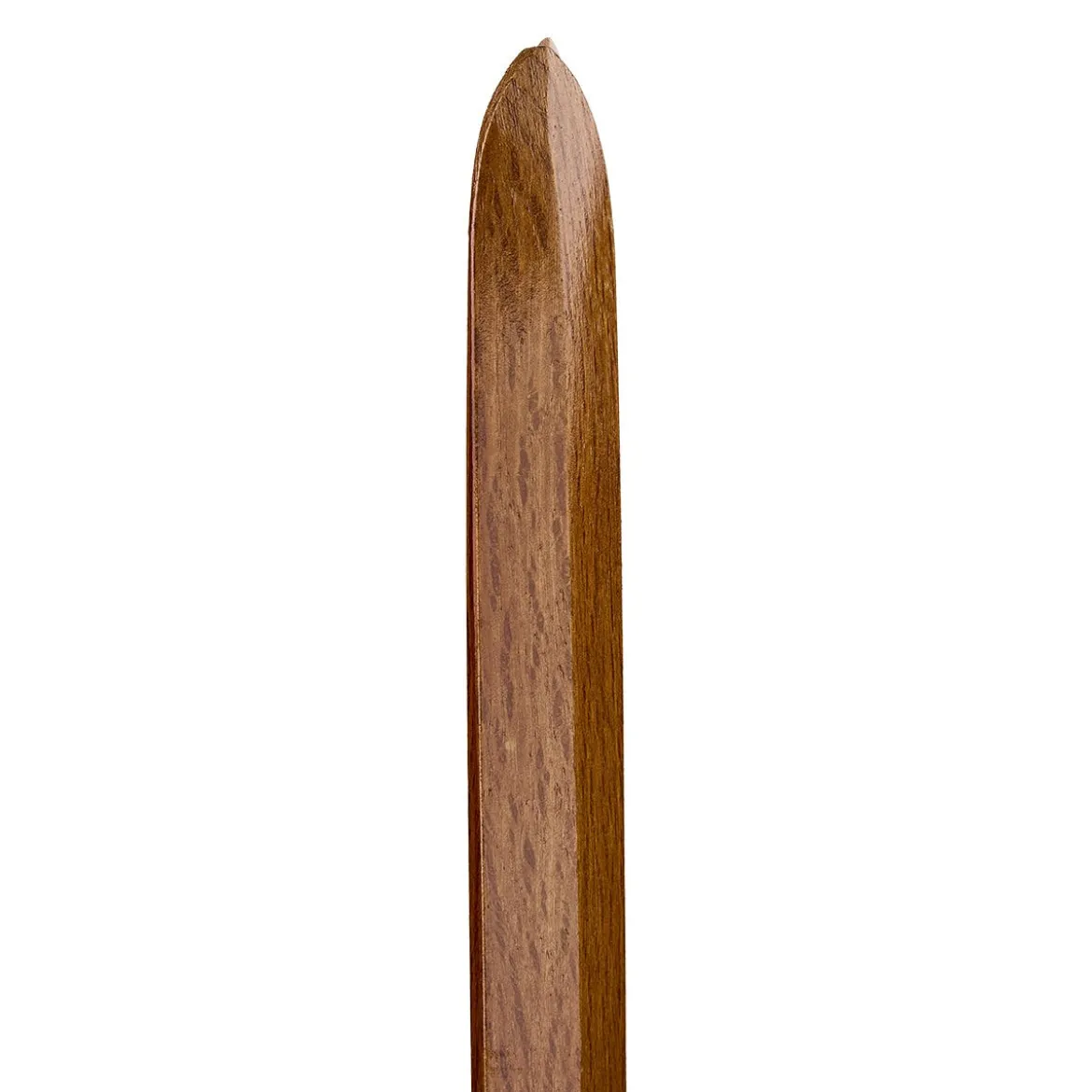 Tai Chi Sword