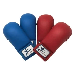 USA Karate Punches