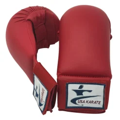 USA Karate Punches