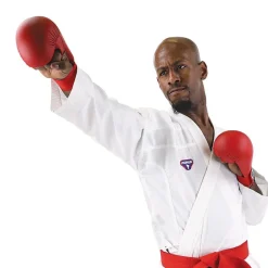 USA Karate Punches